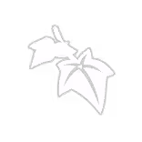 One, Two, Three, Jump!